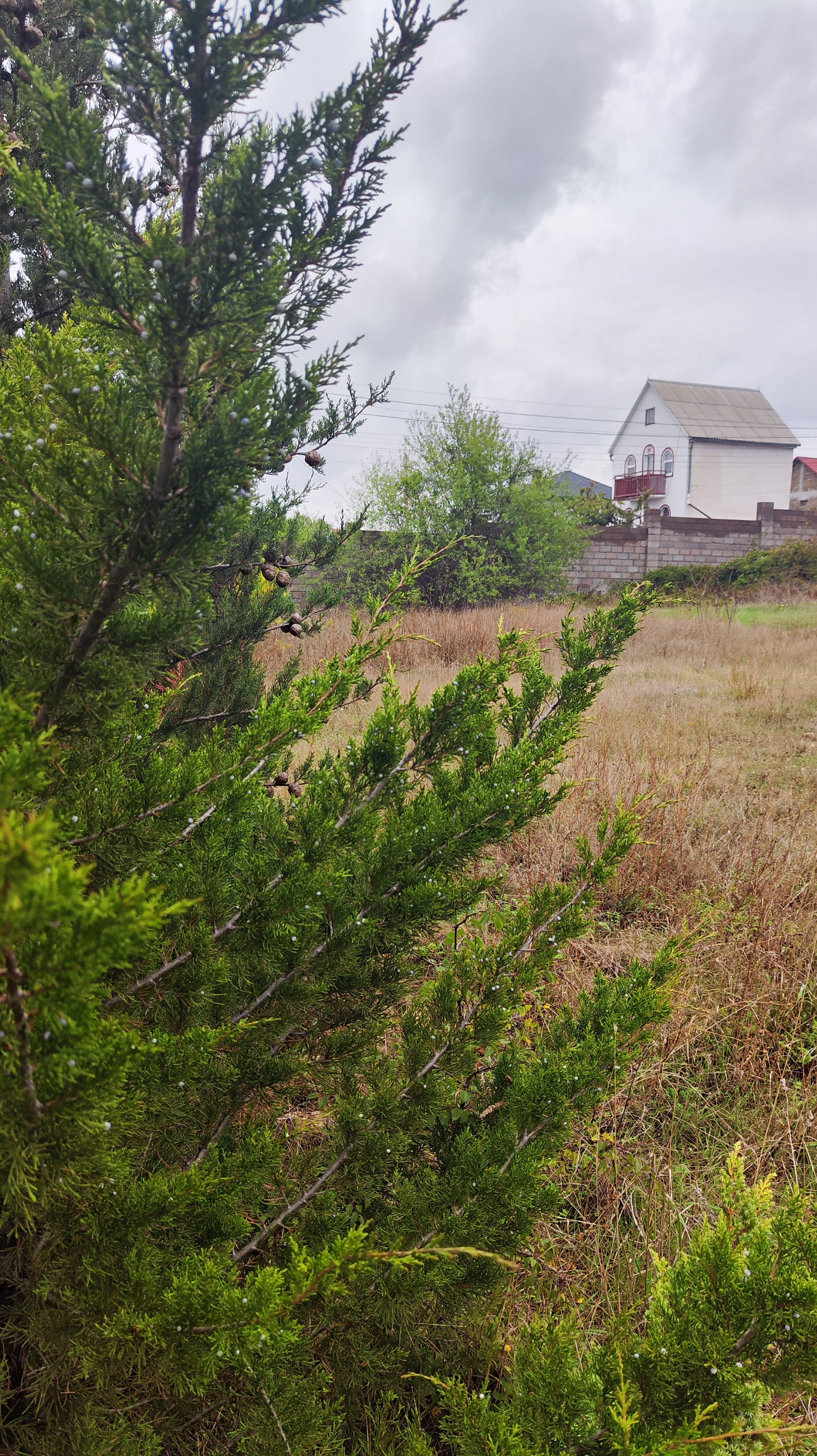 Участок на Фиоленте. Севастополь.