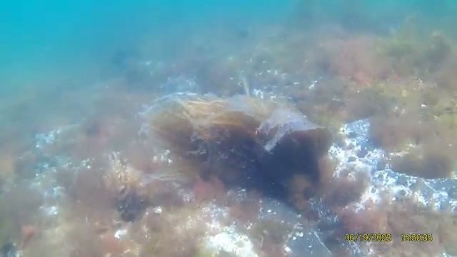 Красоты приморского моря