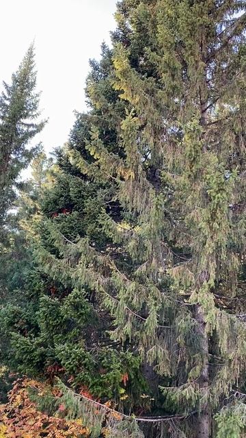 Уголок живой природы прямо за окном!