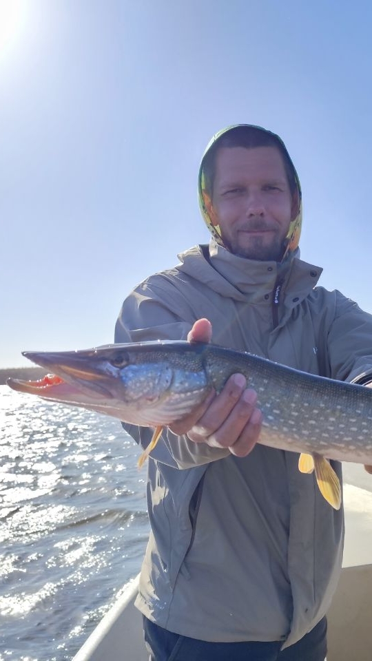 РЫБАЛКА В АСТРАХАНИ! ДЕНЬ ЧЕТВЕРТЫЙ! #рыбалка #fish #fishing #природа #отдых #рыба #shorts #красота