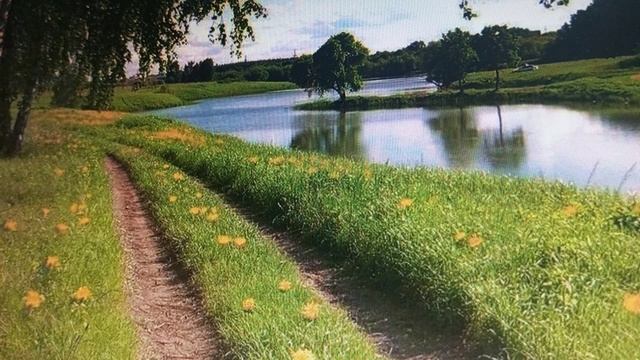 Как заставить взрослого сына общаться с матерью и треугольник Карпмана.