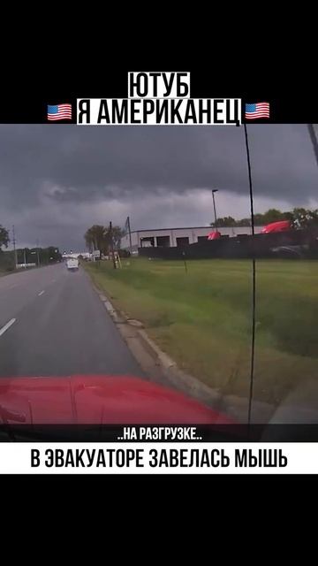 В эвакуаторе завелась мышь