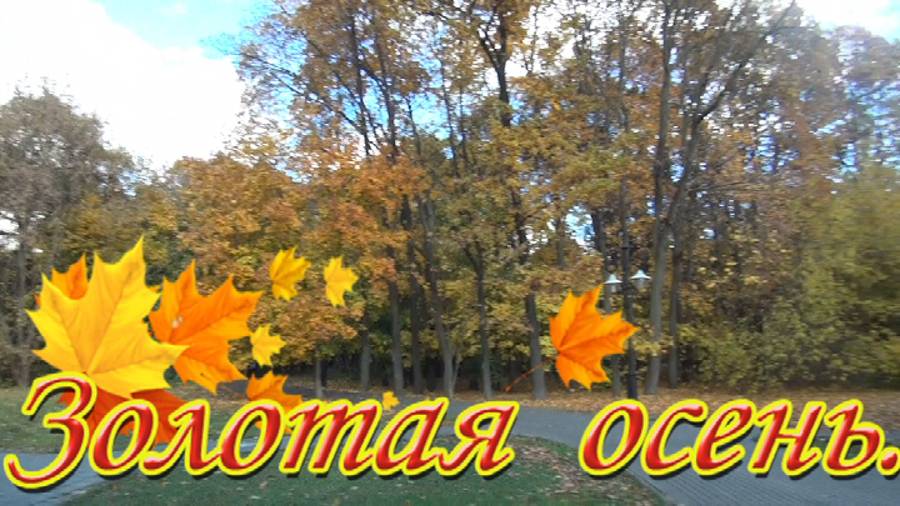 Золотая осень в Останкино