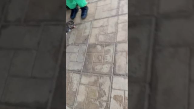 8bd9f6858a3ad62b9345ecd60e6face3