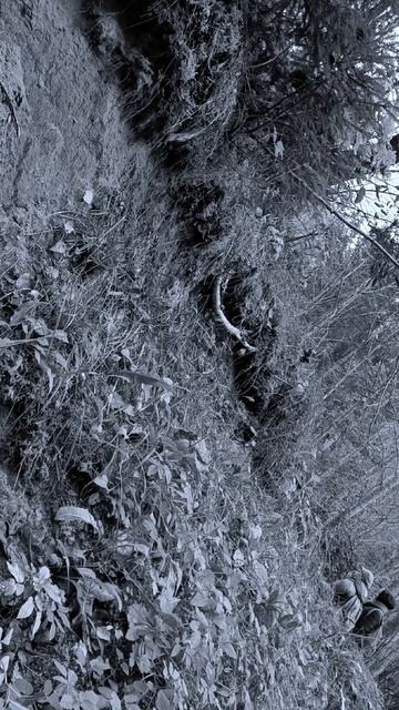 Осень