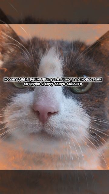 Dfb2b4ef3441b00f532b3a6cd5c2891d