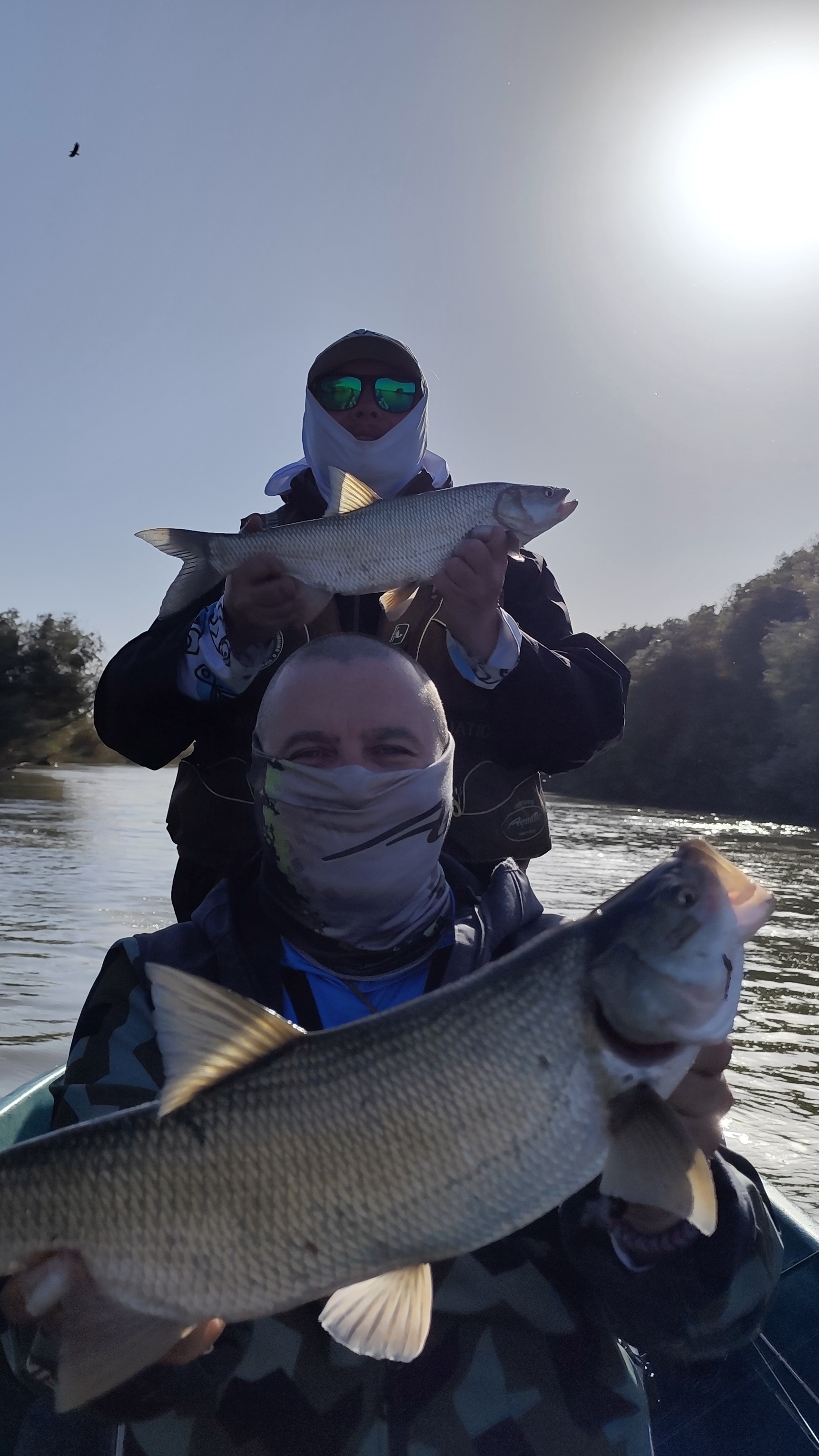 РЫБАЛКА В АСТРАХАНИ! ДЕНЬ ПЯТЫЙ! #рыбалка #fish #fishing #природа #отдых #рыба #shorts #красота