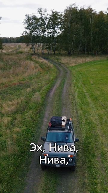 Эх Нива Нива, в лес вези красиво! #shorts #нива #легенда #клип #песня #природа #2121 #lada