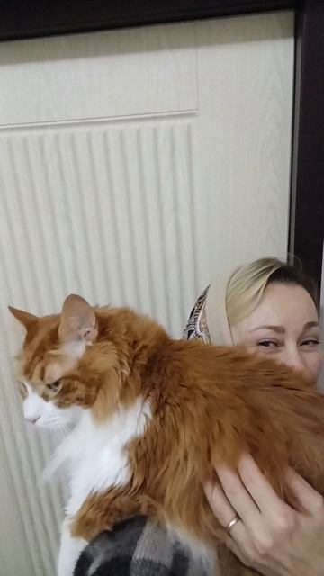 Котюшка соскучился