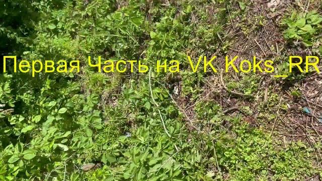 Продолжение уборки за свиньями на природе Koks_RR