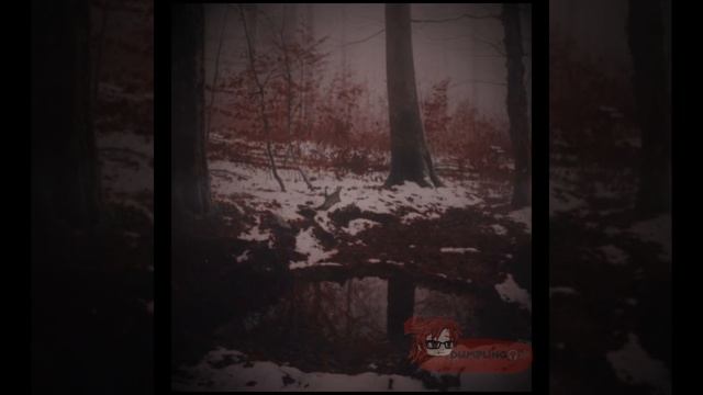 ⟨🗣️⟩ 𝚣𝚒𝚖𝚊𝚊𝚊..