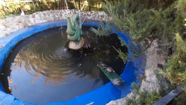 1dc966a2daf71ace08b013f71dd063fc