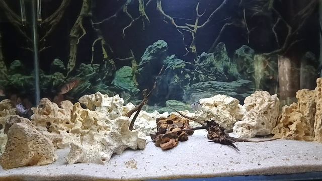 моя баночка