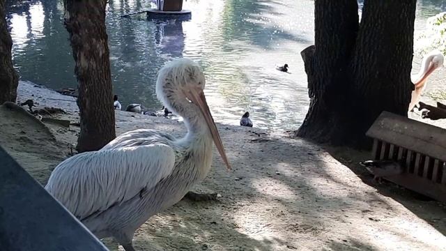 8adfe45eb4aa2358deffe81ec3e469fb