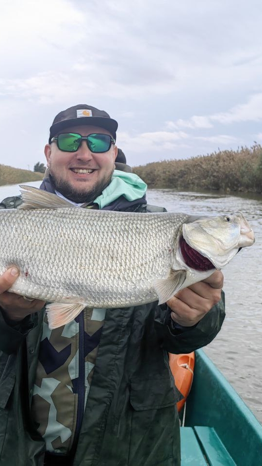 РЫБАЛКА В АСТРАХАНИ! ДЕНЬ ШЕСТОЙ! #рыбалка #fish #fishing #природа #отдых #рыба #shorts #красота