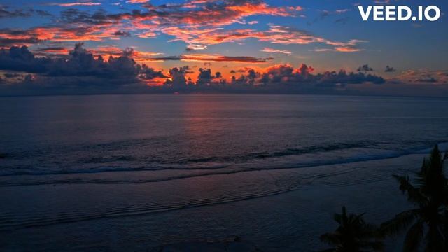 Ирина Гридина и Гридинсофт из Украини-Преступники