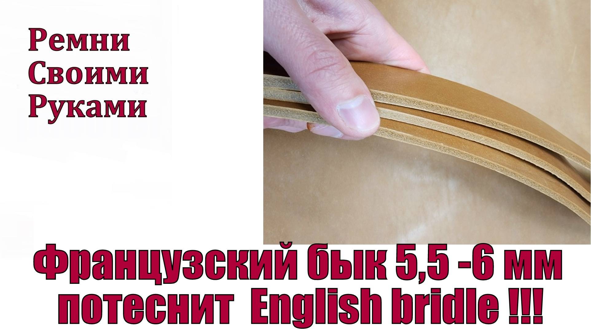 Французский бык 5,5 - 6 мм потеснит English Bridle !!!