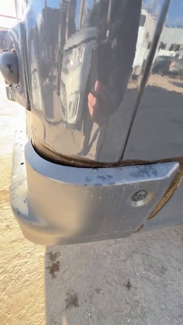 Обзор газели