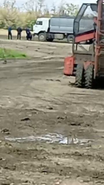 VID-20251016-WA0011.mp4