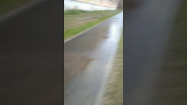 американ бойййййй