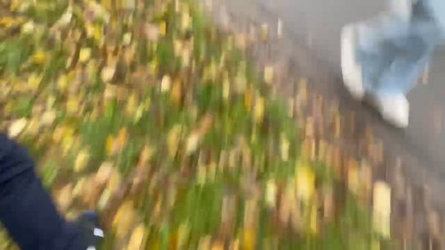 побег от Оли и Вовы