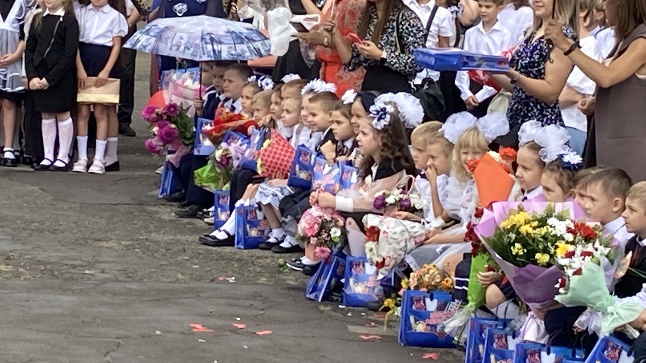 Мультфильм  -  