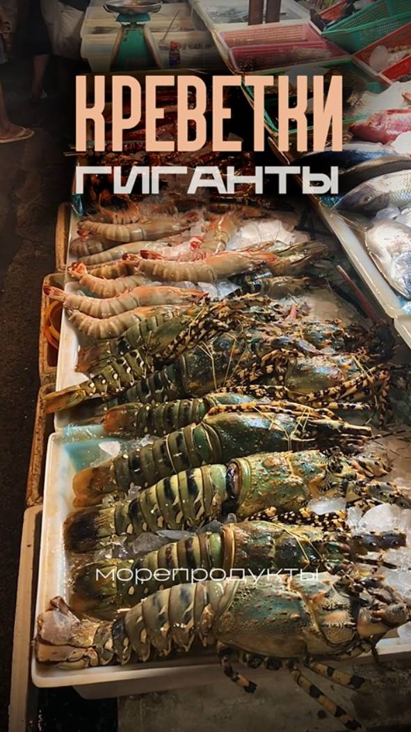 😂Друг говорит, что вчера они ели крабов. Записываю ему видео  #креветки #пхукет #морепродукты