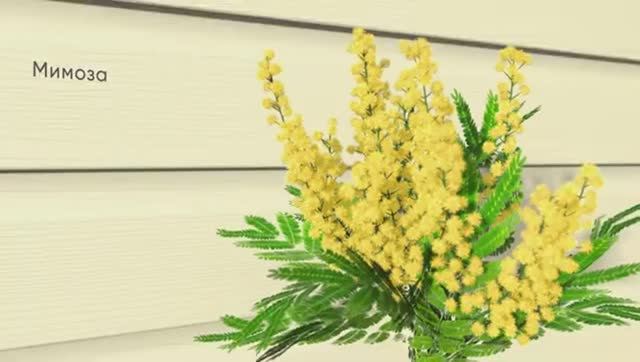 A5754f83179a7dc5f5f750922266fafd