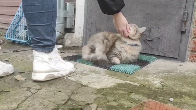 Домашний клип #1