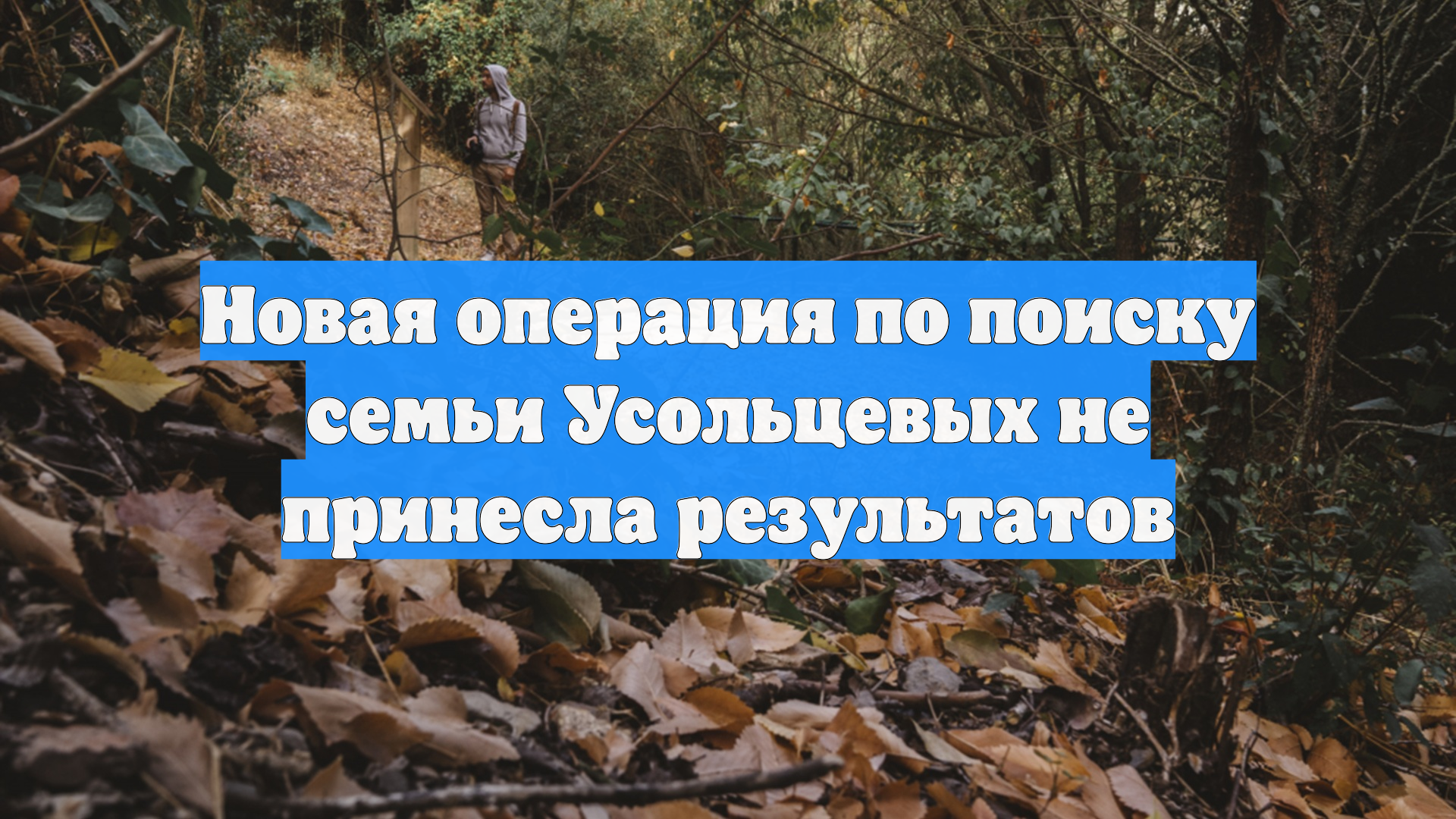 Первый Новостной