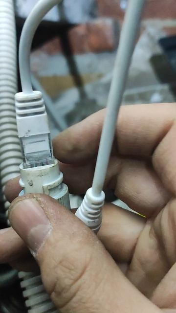 5ed74b74561b8cc4189c10a942b597d9