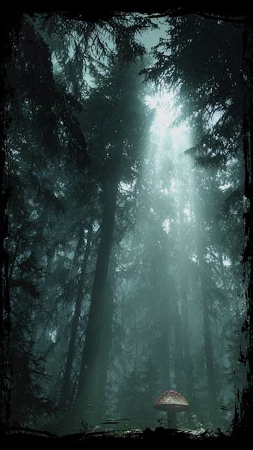 8a4ecbc1cd8affdca99478e55cc7291a