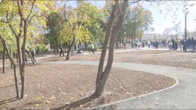 Открытие_парка_в_Старобельске_30_09_25  Дерево молодоженов.