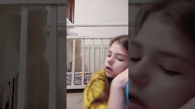 3e48795f46ee186d7e3c5d3c046c77d2