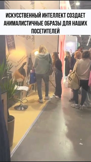 Выставка 2025