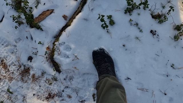 Отдыхать трудно!