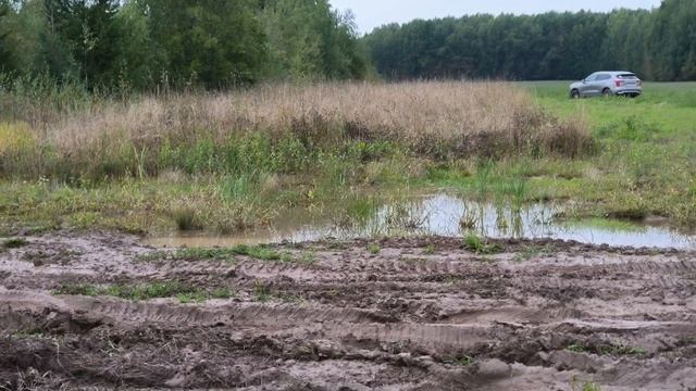 44bcaecc284ff998cf82e6a95b2ac752