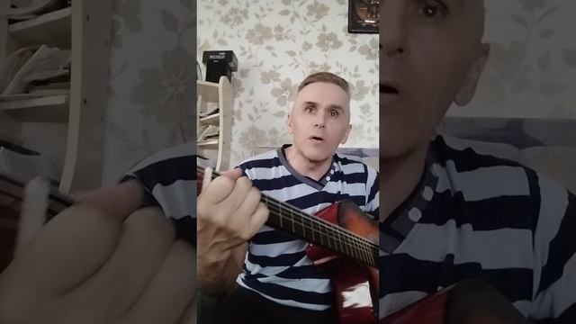 Я солдат(кавер)