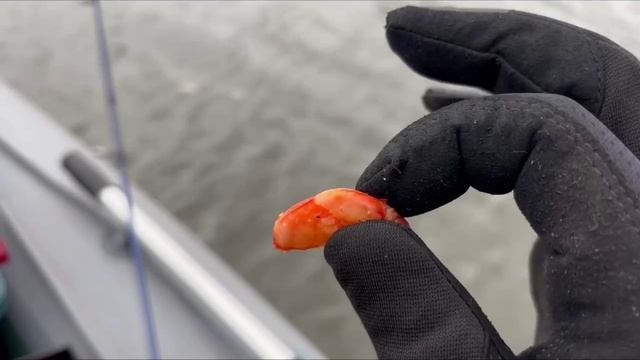 E3a7cebf123e03fe29648a6608cf1dfc