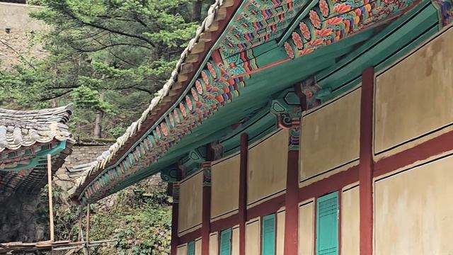 Северная Корея. Пхеньян 2025