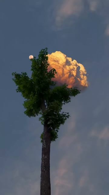 ✨Жизнь прекрасна‼