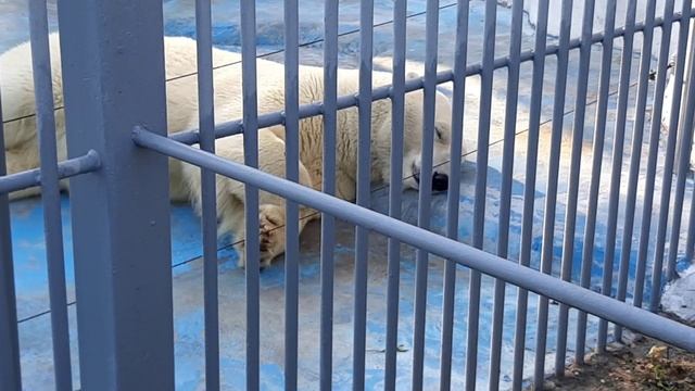 C3b944d7bf0e558ccea29eed36606058