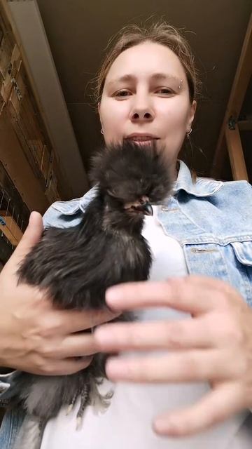 036603c4eb022060715d353eefc47203.mp4