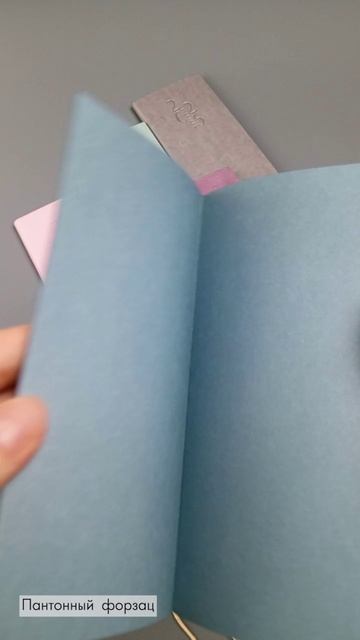 💼Датированные еженедельники 2026 ESCALADA Classic