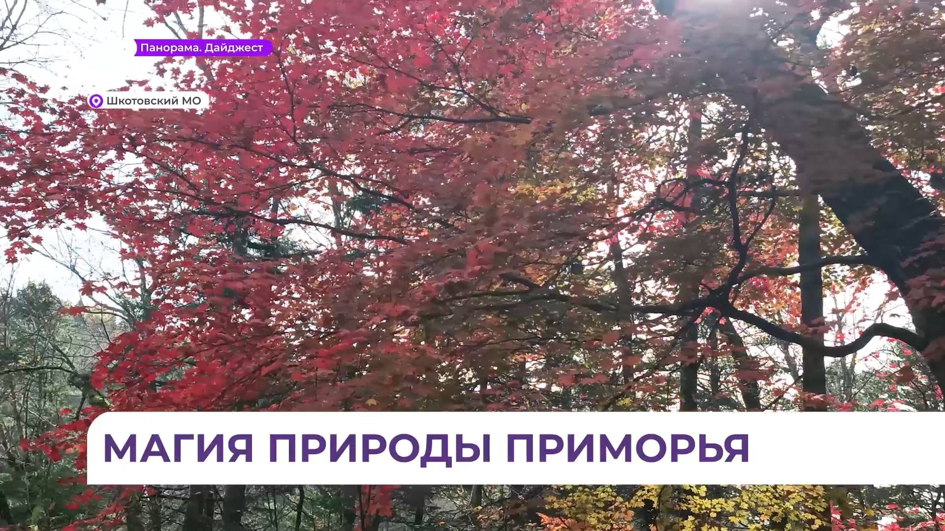 ОТВ-Прим | Общественное телевидение Приморья