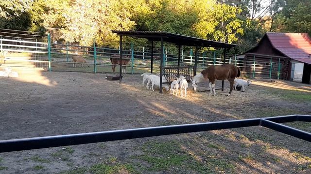 24f7bc16ecd679143634d1d471d24c45