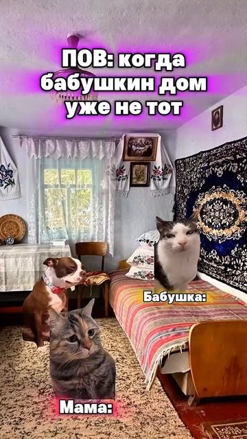 самое грустное видео на этом канале....