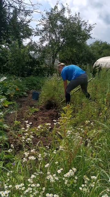 969962ae314de6b047cc35026006060d.mp4