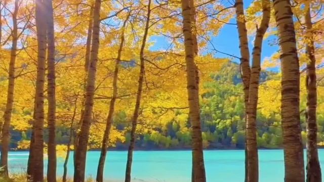 Осень, красота природы.