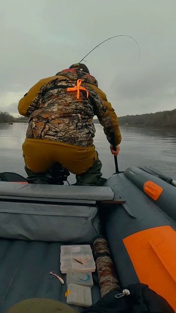 Встретил на воде подписчика Александра, запрыгнул к нему в лодку. Половили окуней. Александр 🤝